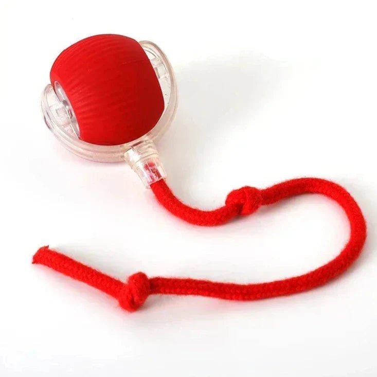 Brinquedo interativo para Gatos FelineBall | Exercite e divirta seu gato brincando - The Miner Shop